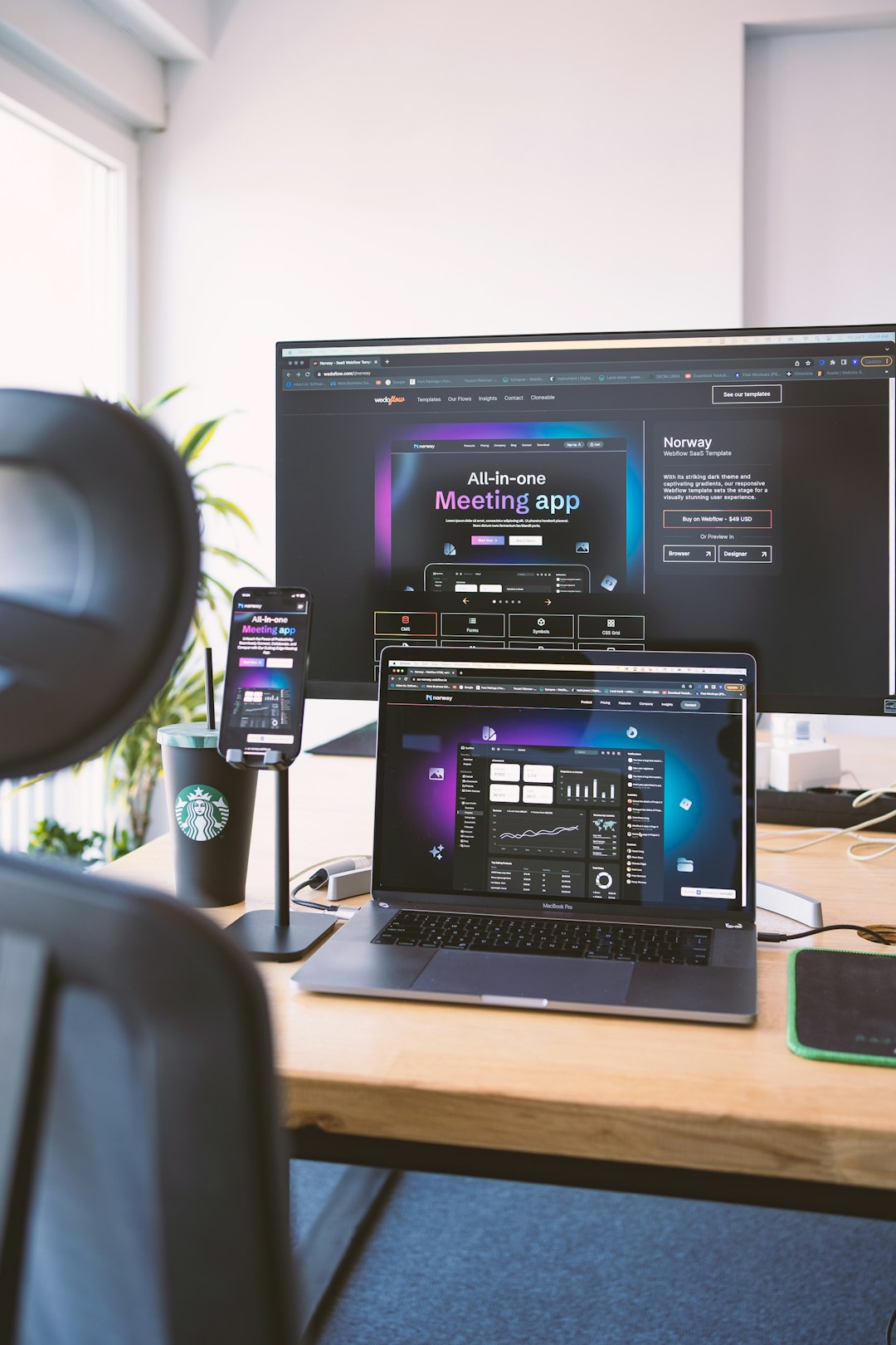 Cherry blossoms along Philosopher's Path in Kyoto